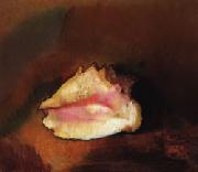 Odilon Redon The Shell china oil painting artist